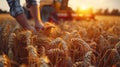 A close-up shot captures the deft hands of farmers as they carefully maneuver harvesting equipme