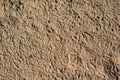 Bird Footprints Adorning Sand Texture