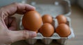 Man\'s Hand Selecting a Fresh Brown Egg from a Carton Royalty Free Stock Photo