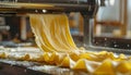 Rolling Fresh Dough with a Pasta Machine Royalty Free Stock Photo