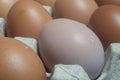Close-up shot of chicken eggs placed in an egg carton. Protein foods are suitable for everyone.