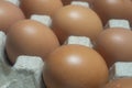 Close-up shot of chicken eggs placed in an egg carton. Protein foods are suitable for everyone