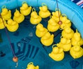 Close-up shot of children's 'hook a duck' game in a pool