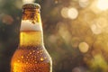 Chilled Beer Bottle Close-up Royalty Free Stock Photo