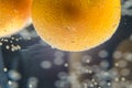 A close-up shot of citrus in a glass of water with lots of bubbles beautiful background for greeting cards and advertising materia Royalty Free Stock Photo