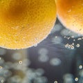 A close-up shot of citrus in a glass of water with lots of bubbles beautiful background for greeting cards and advertising materia Royalty Free Stock Photo