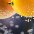 A close-up shot of citrus in a glass of water with lots of bubbles beautiful background for greeting cards and advertising materia Royalty Free Stock Photo