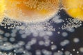 A close-up shot of citrus in a glass of water with lots of bubbles beautiful background for greeting cards and advertising materia Royalty Free Stock Photo