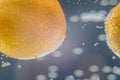 A close-up shot of citrus in a glass of water with lots of bubbles beautiful background for greeting cards and advertising materia Royalty Free Stock Photo