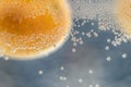 A close-up shot of citrus in a glass of water with lots of bubbles beautiful background for greeting cards and advertising materia