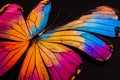 Close up shot on colorful butterfly. Insect macro saturated beauty pattern. Generative AI