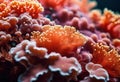 a close up shot of a colorful coral with white anthers