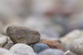 Close up shot of colorful rocks at the beach Royalty Free Stock Photo