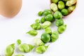 Close-up shot of composition fresh vegetables and assortment of beans and peas Royalty Free Stock Photo