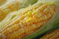 A close-up shot of a corn cob sitting on a table, showcasing the details of the ear of corn Royalty Free Stock Photo