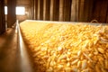 Close-up shot of corn grains piled in storage silos.