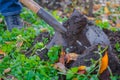 A close-up shot of a covered in a dirt shovel.