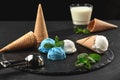 Close-up shot of a creamy and blueberry ice cream served on a dark slate, black background. Royalty Free Stock Photo