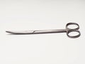 Close up shot of curved stainless steel medical scissor Royalty Free Stock Photo