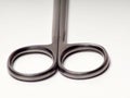 Close up shot of curved stainless steel medical scissor Royalty Free Stock Photo