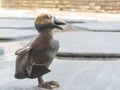 Close up shot of cute duck statue in Andares Shopping Mall