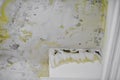 Close-up shot of the damaged ceiling with peeled whitewash, stains and mold. Leaky roof consequences. Royalty Free Stock Photo