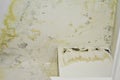 Close-up shot of the damaged ceiling with peeled whitewash, stains and mold. Restoration contractor service promoting. Royalty Free Stock Photo