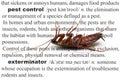 Pest Control Dead Cockroach Concept Royalty Free Stock Photo