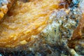 Close up shot of deep fried fish for texture or Royalty Free Stock Photo