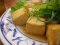 Close up shot of deep fried tofu