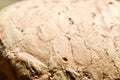Close up shot of details of champagne cork Royalty Free Stock Photo