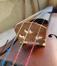 Close-up shot of a ebony violin bridge and strings