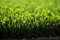 close-up shot of eco-friendly turf infill Royalty Free Stock Photo