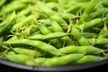 close-up shot of edamame beans in pod Royalty Free Stock Photo