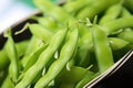 close-up shot of edamame beans in pod Royalty Free Stock Photo