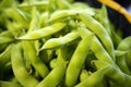 close-up shot of edamame beans in pod Royalty Free Stock Photo