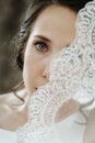 Close Up shot of elegant, brunette bride posing under veil close up Royalty Free Stock Photo