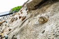 Close up shot of the equipment use for Wall Climbing Royalty Free Stock Photo