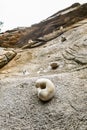 Close up shot of the equipment use for Wall Climbing Royalty Free Stock Photo