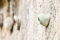 Close up shot of the equipment use for Wall Climbing Royalty Free Stock Photo