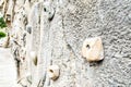 Close up shot of the equipment use for Wall Climbing Royalty Free Stock Photo