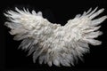 Angel Wings of Heavenly Grace (AI Generated)