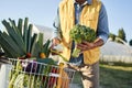 Close up shot of farmer holding vegetables Royalty Free Stock Photo