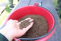 Close-up shot of a farmer from where food pellets are given to fish, raising fish in cages.