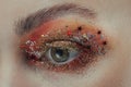 Close-up shot of female eye, makeup, sparkles, glamor, fashion, eye shadow and eyelids. Macro shot of an eye, flicker. Stars and