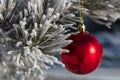 Close up shot of a fir twig covered with snow and single shiny red Christmas ball decoration hanging off a Christmas fir tree Royalty Free Stock Photo