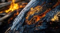 A close-up shot of a fire burning in a forest with flames and smoke Royalty Free Stock Photo