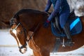 Close-up of the shot fragment. A girl rider sits in the saddle and holds the reins of a horse with her hands Royalty Free Stock Photo