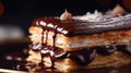 A close-up shot of a French chocolate pastry, oozing with a luscious chocolate ganache filling. Highlight the layers and textures Royalty Free Stock Photo