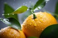 Close up shot of a fresh mandarin with few water drops 2